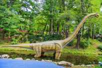 ��٪������������Ϫ������